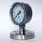 SUS 304 Flansch-Berg-Manometer 1 Dichtungs-Art Manometer MPa 100mm Membran